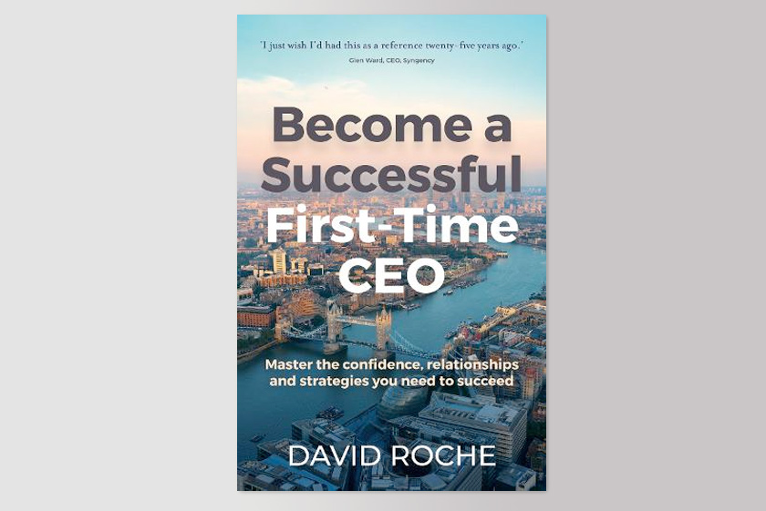 Become a Successful First-Time CEO: Master the confidence, relationships and strategies you need to succeed