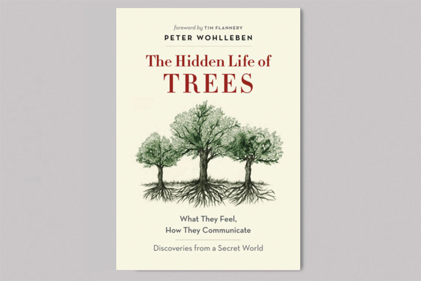 The Hidden Life of Trees: What They Feel, How They Communicate – Discoveries from a Secret World