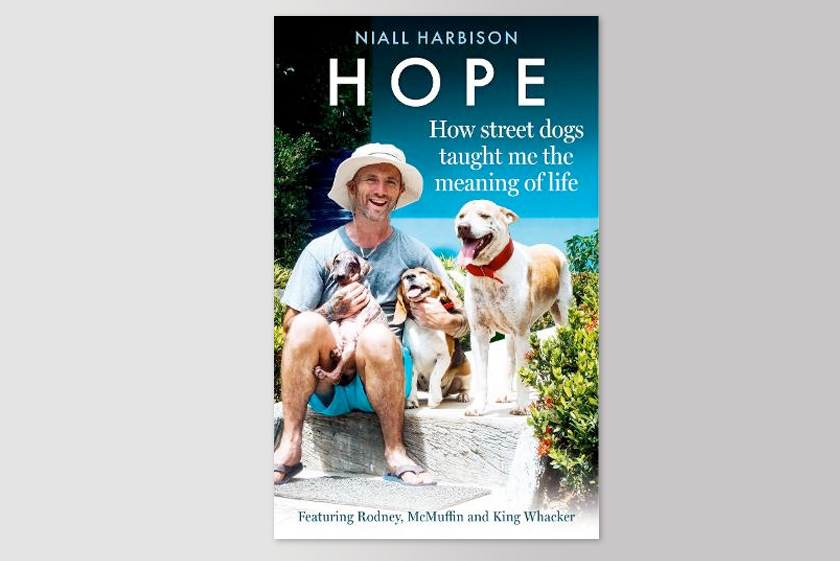 Hope – How Street Dogs Taught Me the Meaning of Life