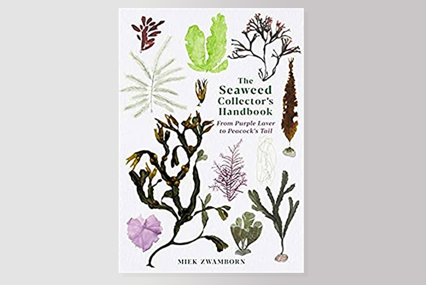 The Seaweed Collector's Handbook: From Purple Laver to Peacock’s Tail