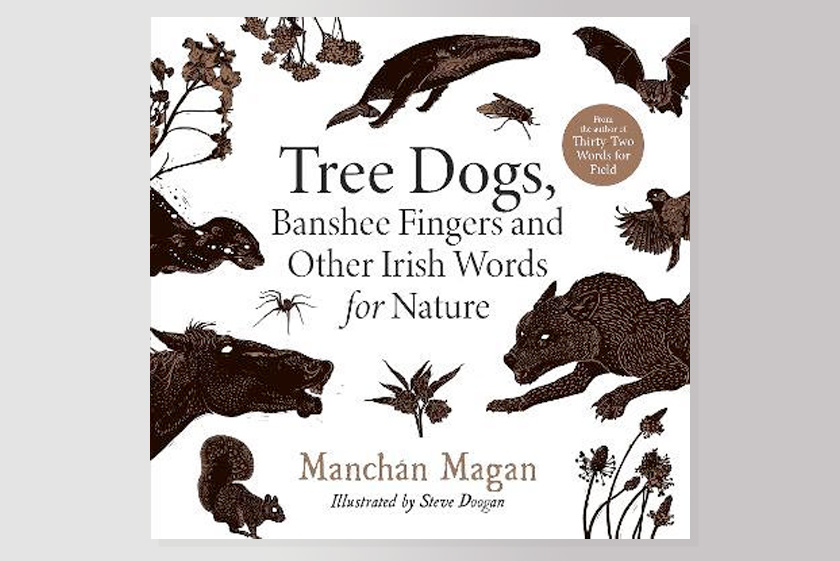 Tree Dogs, Banshee Fingers and Other Irish Words for Nature